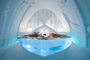 image 12 in ice ice baby gallery