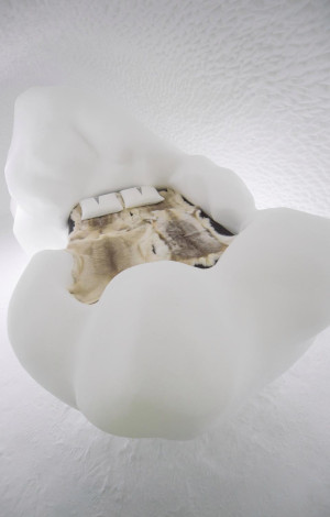 image 5 in ice ice baby gallery
