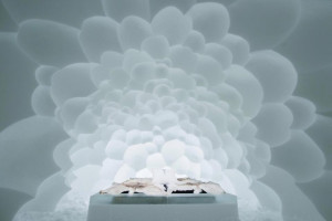 image 8 in ice ice baby gallery