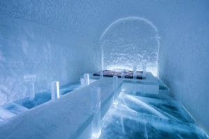 image 9 in ice ice baby gallery