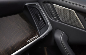 image 17 in IPace gallery