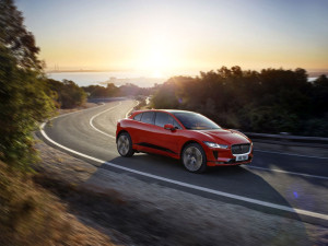 image 25 in IPace gallery
