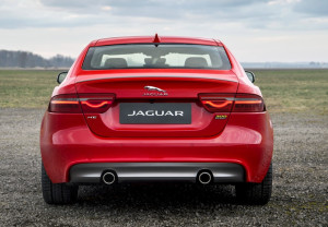 image 7 in Jag 300 Sport gallery