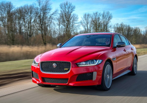 image 8 in Jag 300 Sport gallery