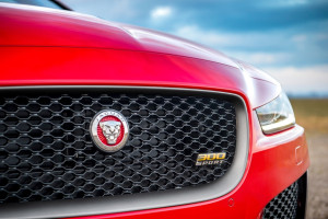 image 9 in Jag 300 Sport gallery