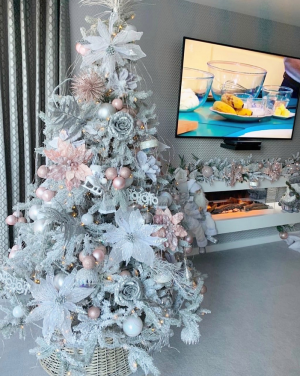 image 13 in kerstboom gallery