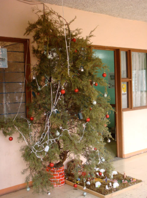 image 15 in kerstboom gallery