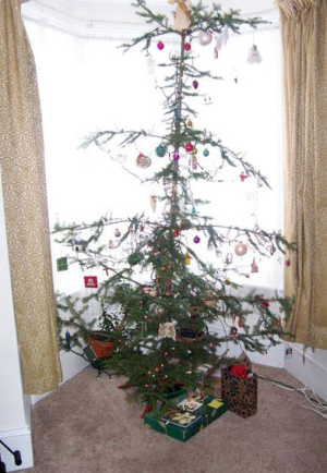 image 16 in kerstboom gallery