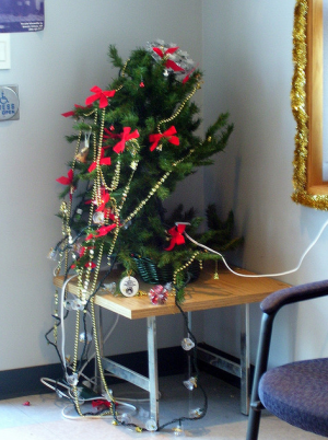 image 18 in kerstboom gallery