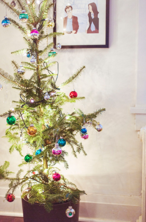 image 19 in kerstboom gallery