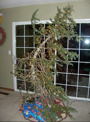 image 7 in kerstboom gallery