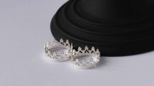 image crown-nipple-rings-nsfw-50260 in KroonTepels gallery