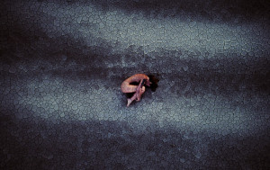 image 6 in Landschapsfoto 2017 gallery