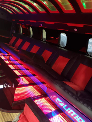image 5 in limo-jet gallery