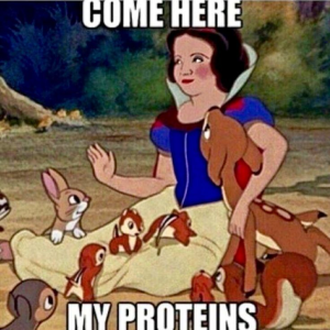image AnyConv.com__Come-Here-My-Proteins in Mannelijke memes 01 gallery