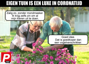 image 106 in Memes2020 gallery