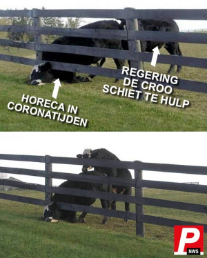 image 127 in Memes2020 gallery