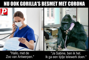image 15 in Memes2021 gallery
