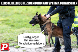 image 78 in Memes2021 gallery