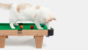 image 2 in Meownooker gallery