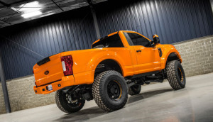 image 4 in monstertruck gallery