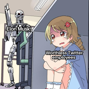 image 10 in MuskMemes gallery