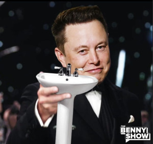 image 11 in MuskMemes gallery