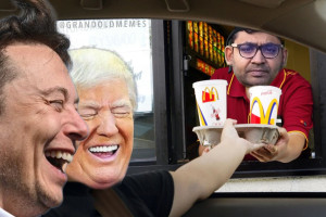 image 12 in MuskMemes gallery