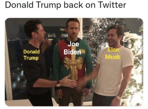 image 15 in MuskMemes gallery
