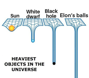 image 16 in MuskMemes gallery