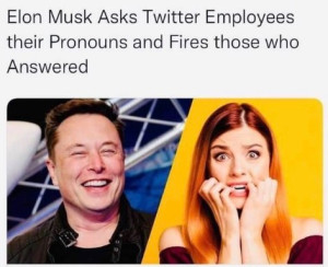 image 2 in MuskMemes gallery