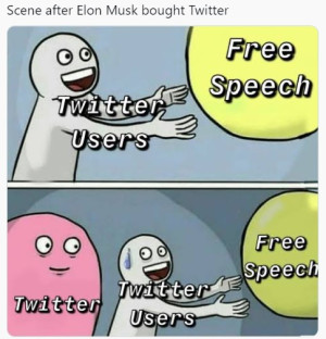image 4 in MuskMemes gallery