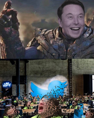 image 6 in MuskMemes gallery