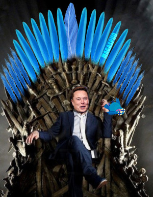 image 8 in MuskMemes gallery