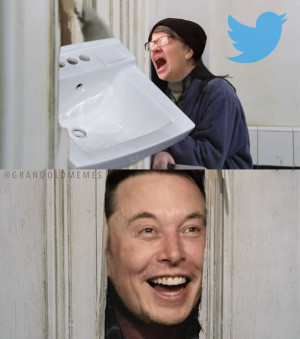 image 9 in MuskMemes gallery