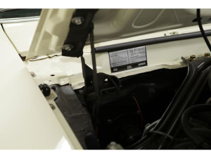 image 18 in Mustang Boss gallery