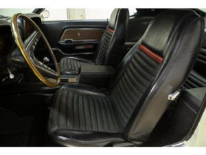 image 2 in Mustang Boss gallery