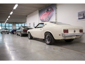 image 5 in Mustang Boss gallery