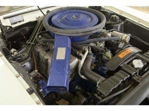 image 6 in Mustang Boss gallery