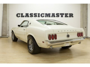 image 9 in Mustang Boss gallery