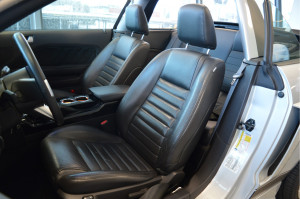 image 15 in Mustang Cervini gallery