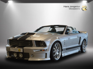 image 2 in Mustang Cervini gallery