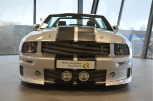 image 3 in Mustang Cervini gallery