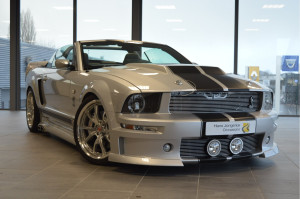 image 4 in Mustang Cervini gallery