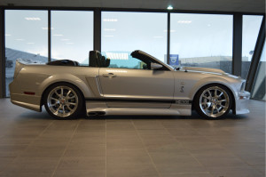 image 5 in Mustang Cervini gallery
