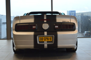 image 6 in Mustang Cervini gallery