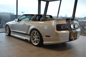 image 7 in Mustang Cervini gallery