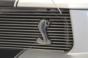 image 8 in Mustang Cervini gallery