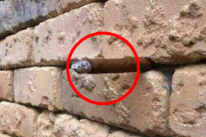 image 2 in muur gallery