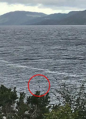 image 1 in Nessie gallery